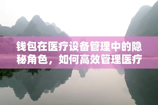 钱包在医疗设备管理中的隐秘角色，如何高效管理医疗设备费用？