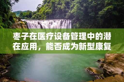 枣子在医疗设备管理中的潜在应用，能否成为新型康复辅助工具？