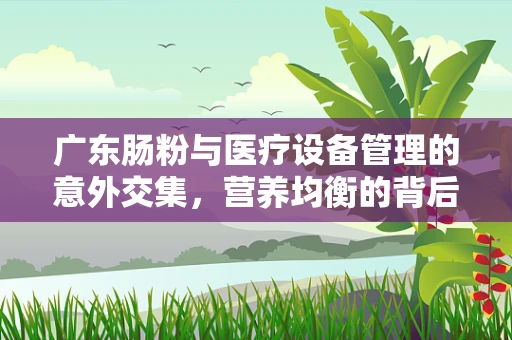 广东肠粉与医疗设备管理的意外交集，营养均衡的背后故事