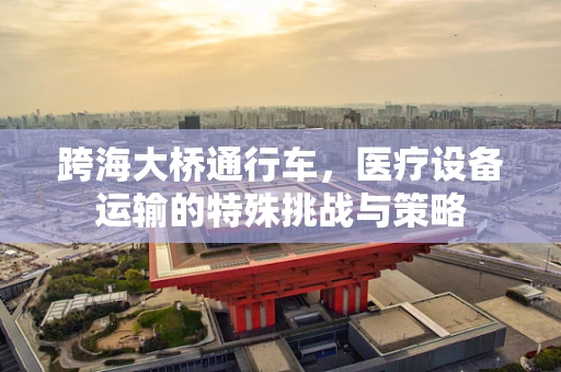 跨海大桥通行车，医疗设备运输的特殊挑战与策略
