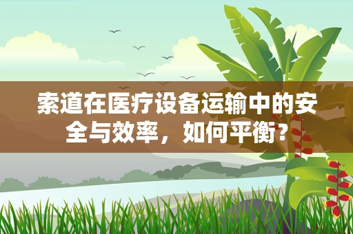 索道在医疗设备运输中的安全与效率，如何平衡？