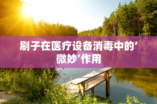 刷子在医疗设备消毒中的‘微妙’作用