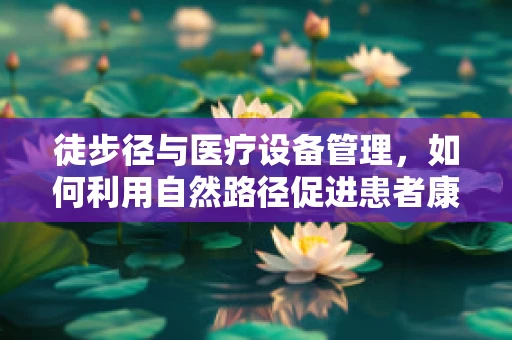 徒步径与医疗设备管理，如何利用自然路径促进患者康复？