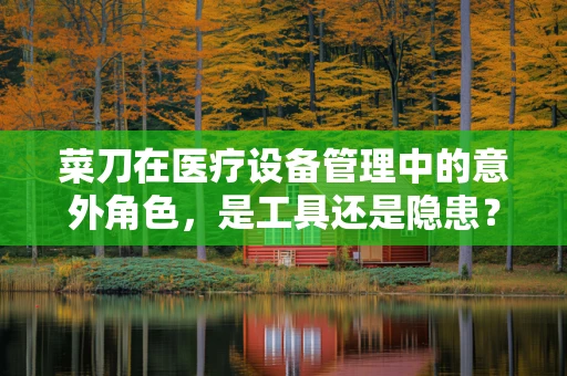 菜刀在医疗设备管理中的意外角色，是工具还是隐患？