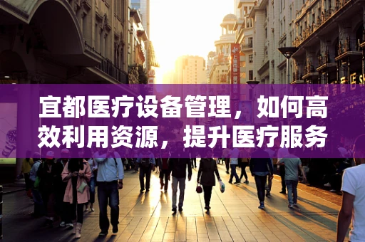 宜都医疗设备管理，如何高效利用资源，提升医疗服务质量？