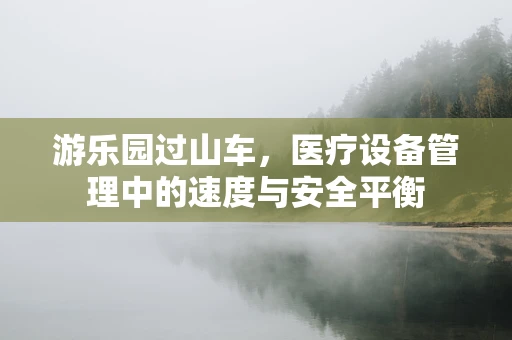 游乐园过山车，医疗设备管理中的速度与安全平衡