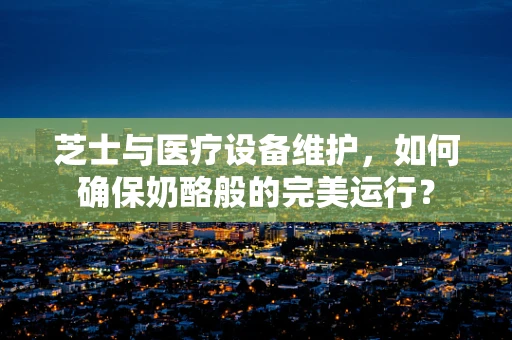 芝士与医疗设备维护，如何确保奶酪般的完美运行？