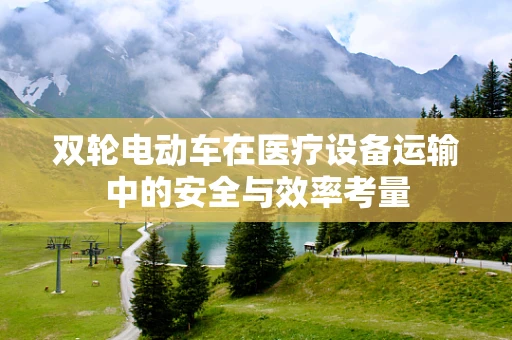 双轮电动车在医疗设备运输中的安全与效率考量