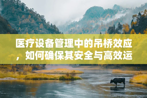 医疗设备管理中的吊桥效应，如何确保其安全与高效运行？