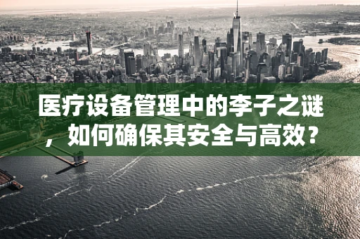 医疗设备管理中的李子之谜，如何确保其安全与高效？