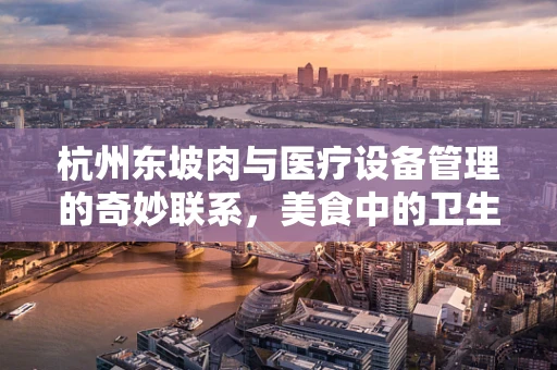杭州东坡肉与医疗设备管理的奇妙联系，美食中的卫生与安全考量