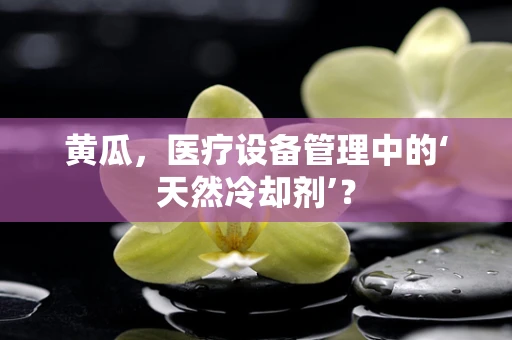 黄瓜，医疗设备管理中的‘天然冷却剂’？