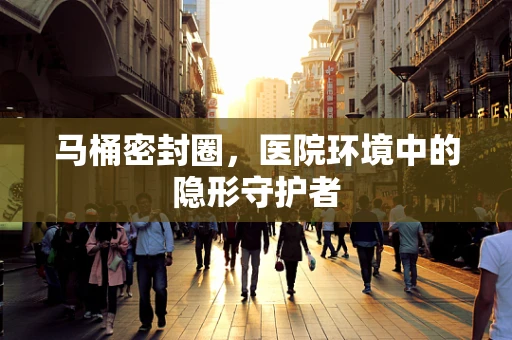 马桶密封圈，医院环境中的隐形守护者