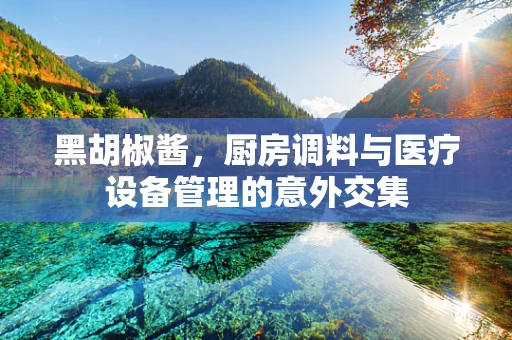 黑胡椒酱，厨房调料与医疗设备管理的意外交集