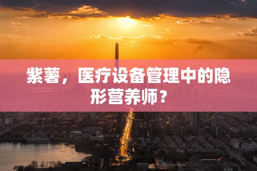 紫薯，医疗设备管理中的隐形营养师？