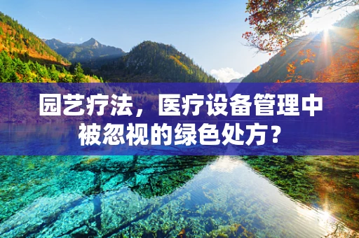 园艺疗法，医疗设备管理中被忽视的绿色处方？