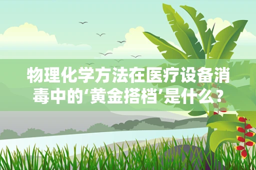 物理化学方法在医疗设备消毒中的‘黄金搭档’是什么？