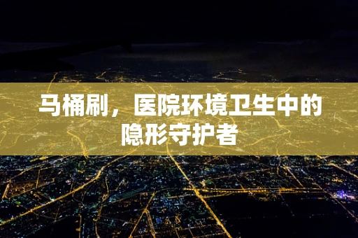 马桶刷，医院环境卫生中的隐形守护者