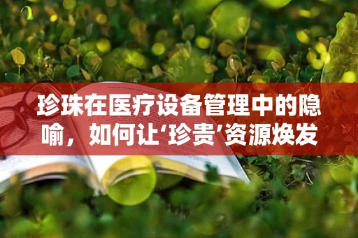 珍珠在医疗设备管理中的隐喻，如何让‘珍贵’资源焕发‘光泽’？