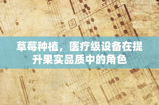 草莓种植，医疗级设备在提升果实品质中的角色