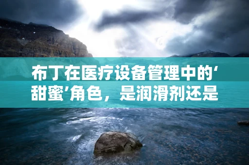 布丁在医疗设备管理中的‘甜蜜’角色，是润滑剂还是障碍物？