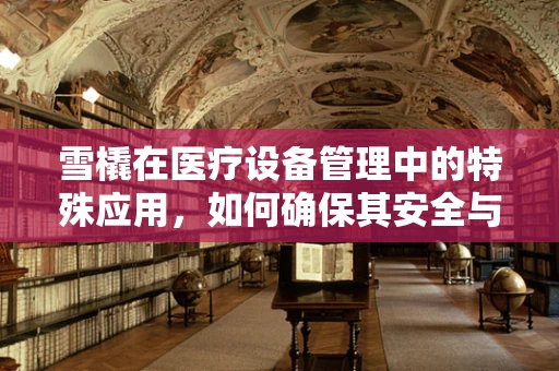 雪橇在医疗设备管理中的特殊应用，如何确保其安全与高效？