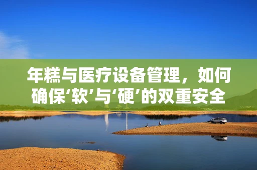 年糕与医疗设备管理，如何确保‘软’与‘硬’的双重安全？