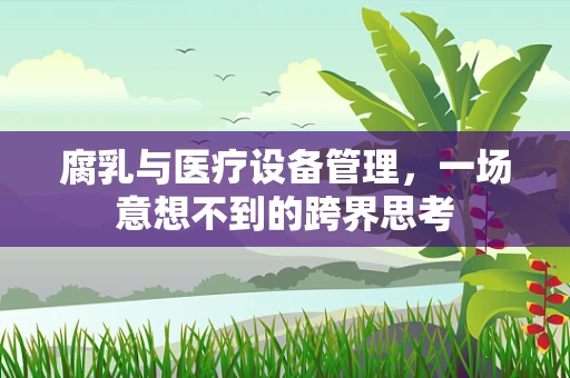 腐乳与医疗设备管理，一场意想不到的跨界思考