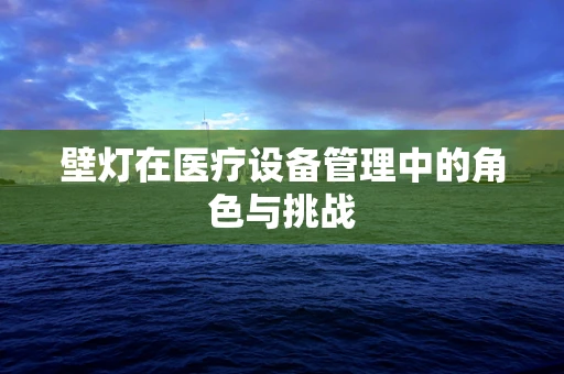壁灯在医疗设备管理中的角色与挑战