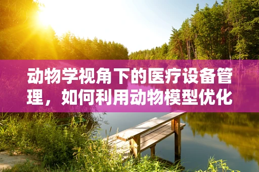 动物学视角下的医疗设备管理，如何利用动物模型优化设备使用效率？