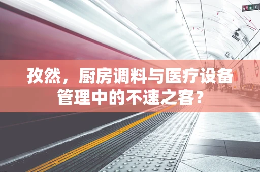 孜然，厨房调料与医疗设备管理中的不速之客？