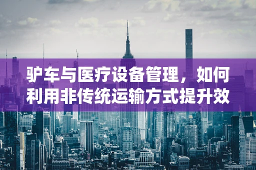 驴车与医疗设备管理，如何利用非传统运输方式提升效率？