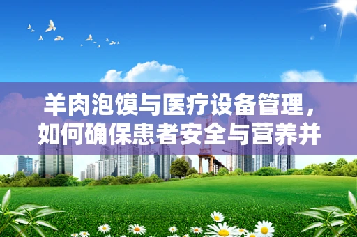 羊肉泡馍与医疗设备管理，如何确保患者安全与营养并重？