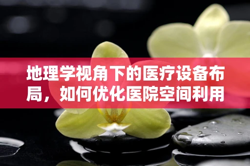地理学视角下的医疗设备布局，如何优化医院空间利用？