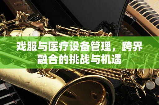 戏服与医疗设备管理，跨界融合的挑战与机遇