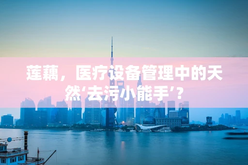 莲藕，医疗设备管理中的天然‘去污小能手’？