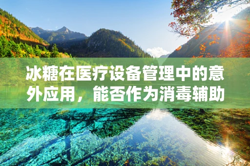 冰糖在医疗设备管理中的意外应用，能否作为消毒辅助剂？
