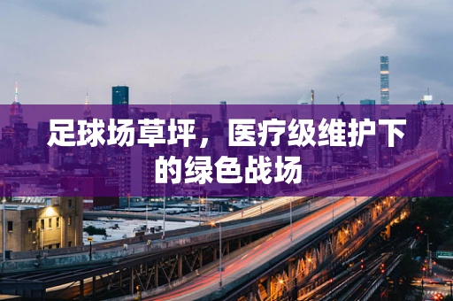 足球场草坪，医疗级维护下的绿色战场