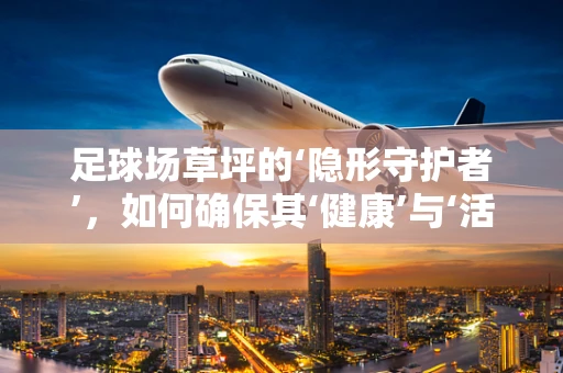 足球场草坪的‘隐形守护者’，如何确保其‘健康’与‘活力’？