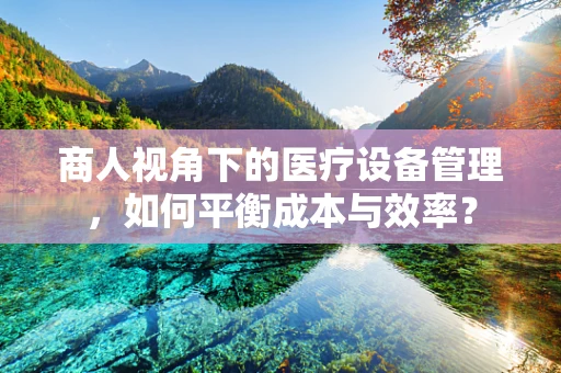 商人视角下的医疗设备管理，如何平衡成本与效率？