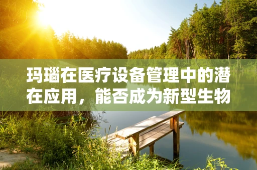 玛瑙在医疗设备管理中的潜在应用，能否成为新型生物传感器材料？