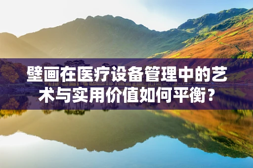 壁画在医疗设备管理中的艺术与实用价值如何平衡？